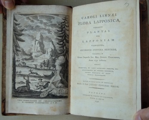 Flora Lapponica exhibens plantas per Lapponiam crescentes, secundum systema sexuale collectas in itinere impensis Soc. reg. litter. et scient. Sueciae a. 1732 instituto. Additis synonymis, & locis natalibus omnium, descriptionibus & figuris rariorum,