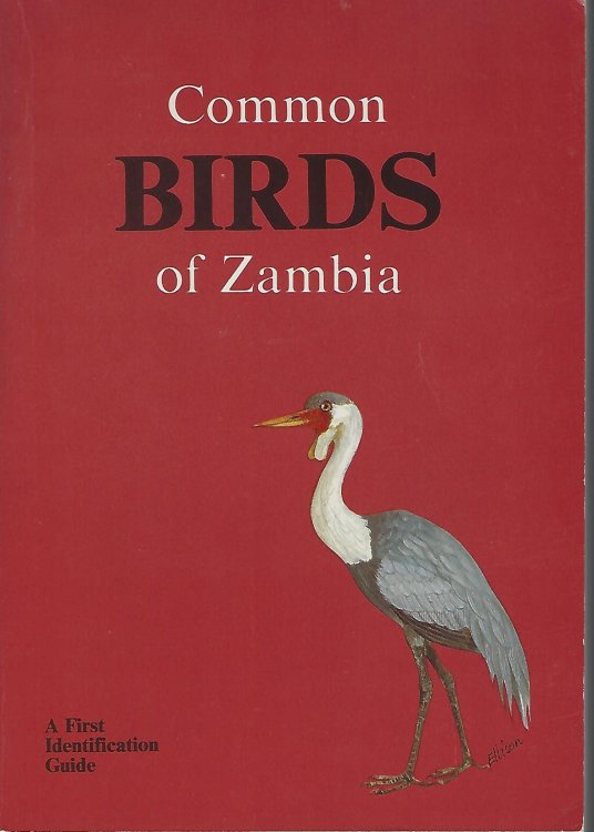 Image for Common Birds of Zambia - Common Birds of Zambia -