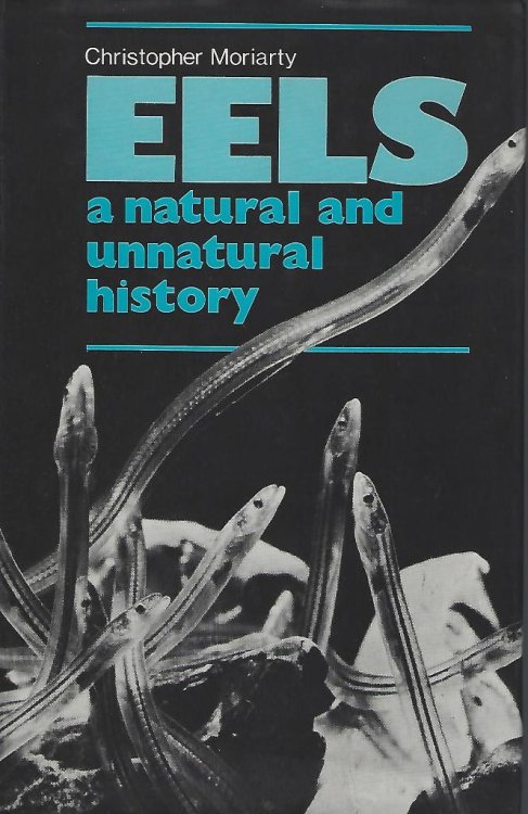 Image for Eels - A Natural and Unnatural History Eels - A Natural and Unnatural History