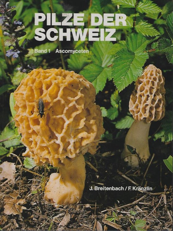 Image for Pilze der Schweiz. Band 1 - Ascomyceten Pilze der Schweiz. Band 1 - Ascomyceten
