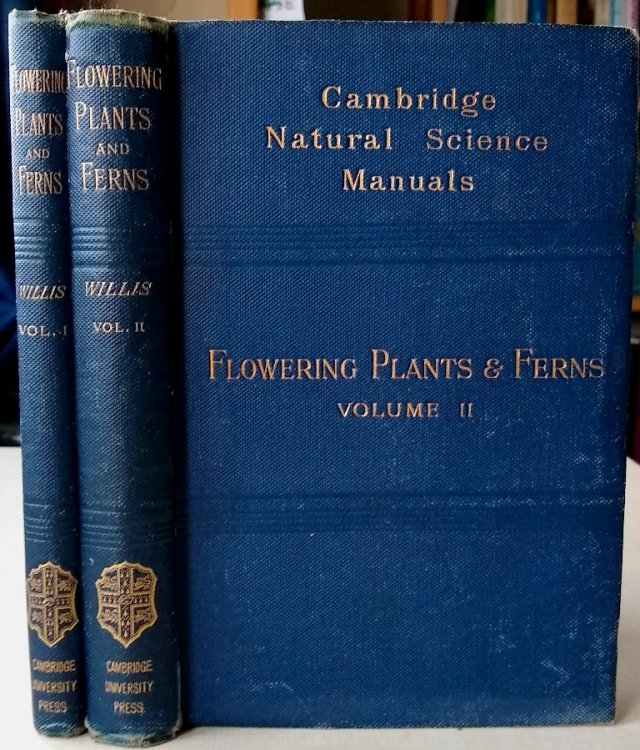 Image for A Manual and Dictionary of the Flowering Plants and Ferns A Manual and Dictionary of the Flowering Plants and Ferns