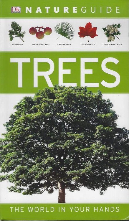 Image for Nature Guide Trees The World in Your Hands DK Nature Guide Nature Guide Trees The World in Your Hands DK Nature Guide
