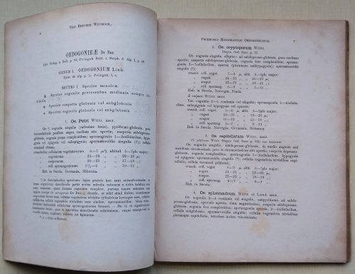 Image for Prodromus Monographiae Oedogoniearum Prodromus Monographiae Oedogoniearum