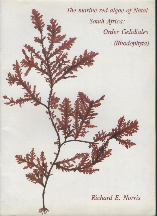 Image for The Marine Red Algae of Natal, South Africa : Order Gelidiales (Rhodophyta) The Marine Red Algae of Natal, South Africa : Order Gelidiales (Rhodophyta)