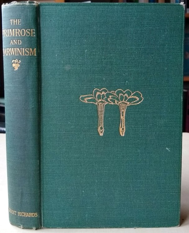 Image for The Primrose and Darwinism The Primrose and Darwinism