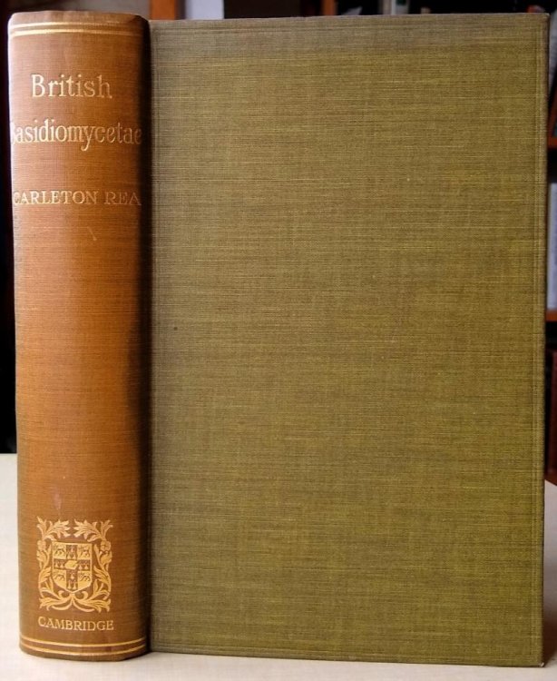 Image for British Basidiomycetae - A Handbook to the Larger British Fungi British Basidiomycetae - A Handbook to the Larger British Fungi