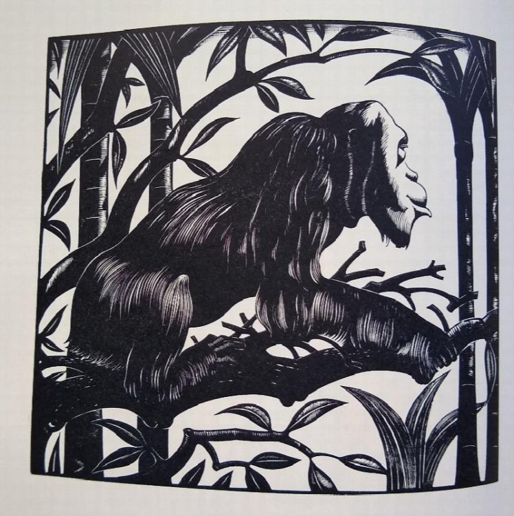 Image for The Wood Engravings of Robert Gibbings, With Some Recollections by the Artist The Wood Engravings of Robert Gibbings, With Some Recollections by the Artist