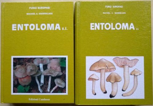 Enteloma s.l. (Fungi Europaei Volumes 5 & 5a)
