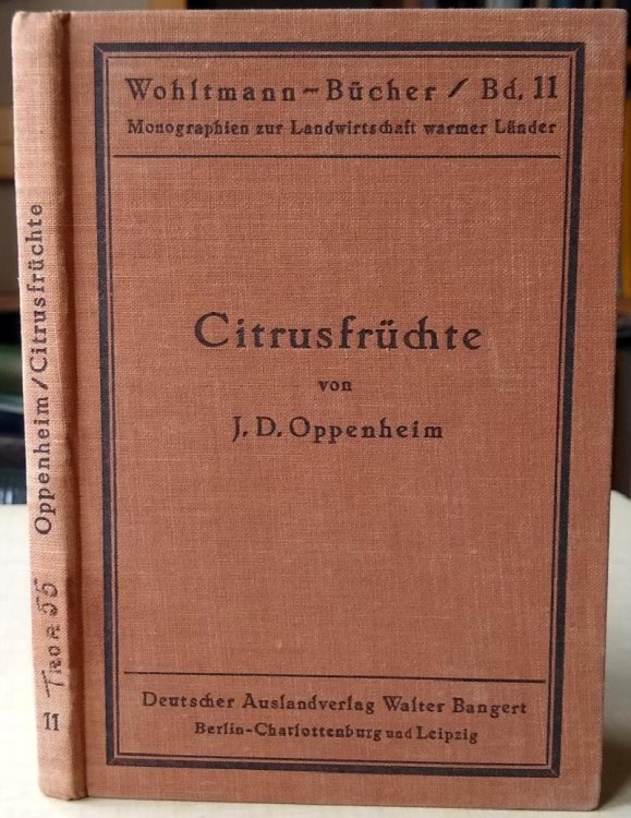 Citrusfruchte