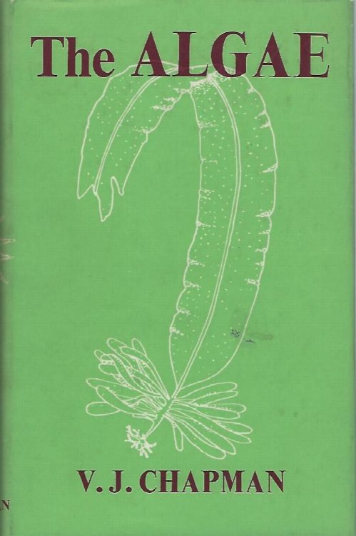 Image for The Algae The Algae