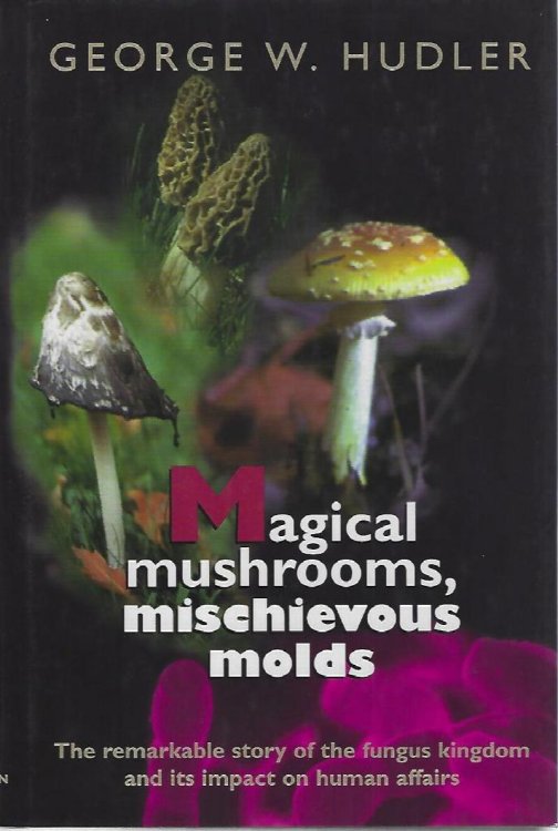 Image for Magical Mushrooms, Mischievous Molds Magical Mushrooms, Mischievous Molds