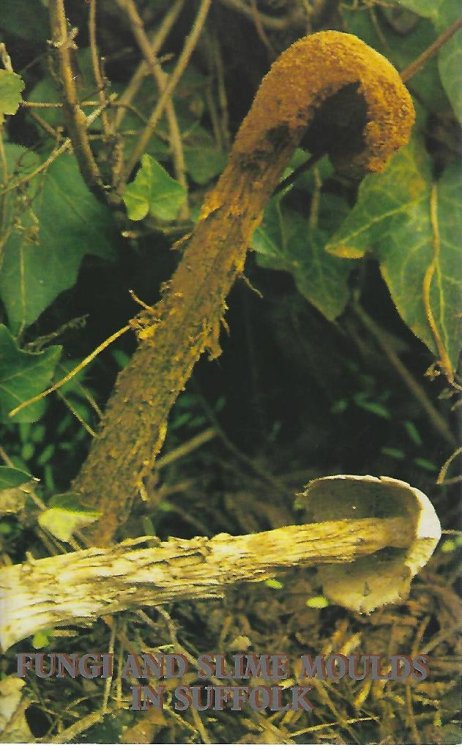 Image for Fungi and Slime Moulds in Suffolk Fungi and Slime Moulds in Suffolk