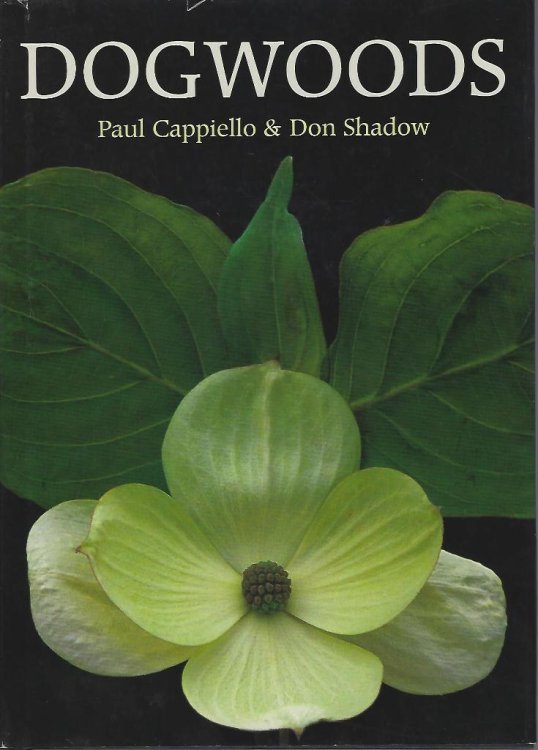 Image for Dogwoods - the Genus Cornus Dogwoods - the Genus Cornus