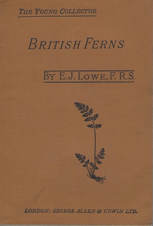 Image for British Ferns and Where Found British Ferns and Where Found