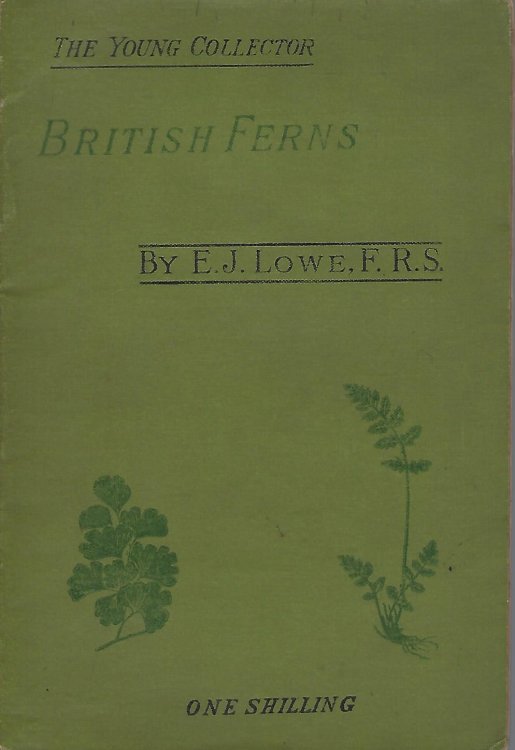 Image for British Ferns and Where Found British Ferns and Where Found