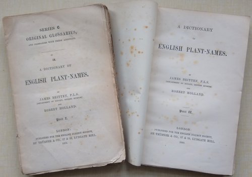 Image for A Dictionary of English Plant Names A Dictionary of English Plant Names