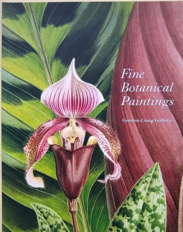 Image for Fine Botanical Paintings - Contemporary Botanical Paintings from the Gordon-Craig Gallery Fine Botanical Paintings - Contemporary Botanical Paintings from the Gordon-Craig Gallery