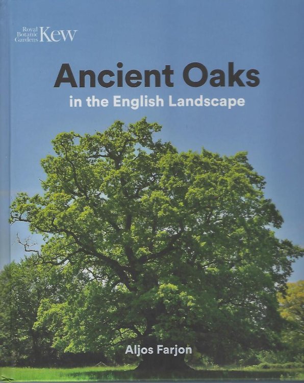 Image for Ancient Oaks in the English Landscape Ancient Oaks in the English Landscape