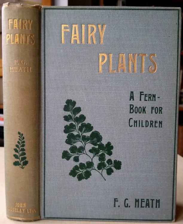 Image for Fairy Plants - a fern-book for childrem Fairy Plants - a fern-book for childrem