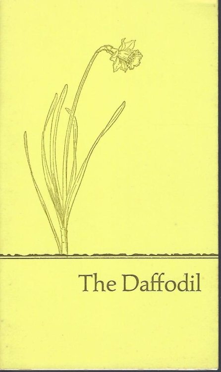 Image for The Daffodil The Daffodil