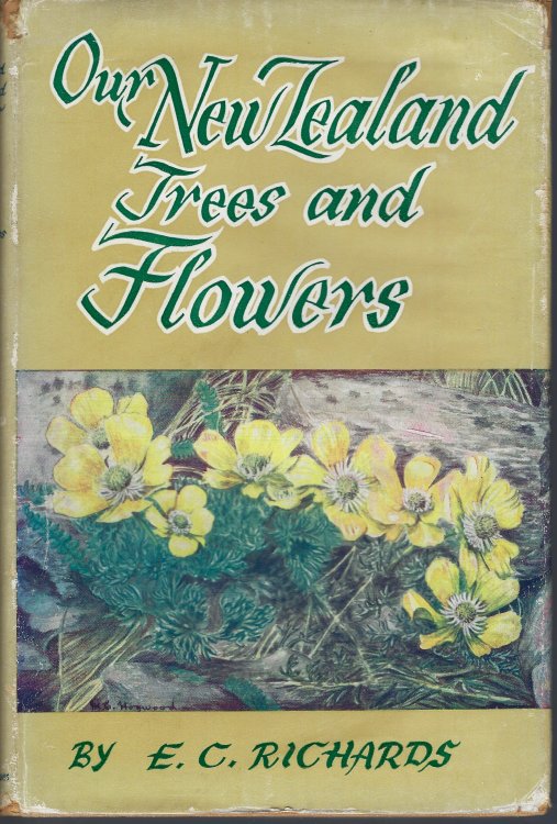 Image for Our New Zealand Trees and Flowers Our New Zealand Trees and Flowers