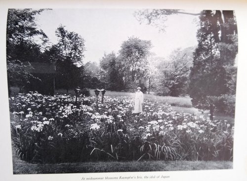 Image for If I Were to Make a Garden If I Were to Make a Garden