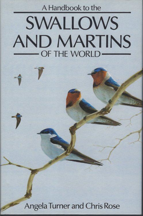 Image for Swallows and Martins of the World Swallows and Martins of the World
