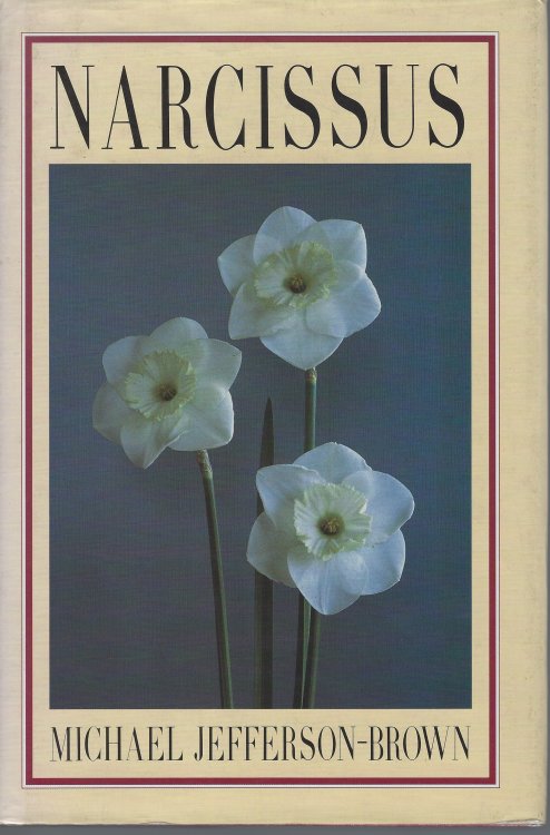 Image for Narcissus Narcissus