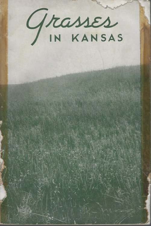 Image for Grasses in Kansas Grasses in Kansas