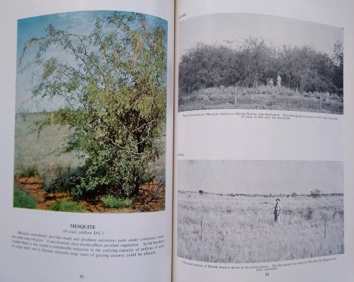 Image for Weeds of Western Australia Weeds of Western Australia