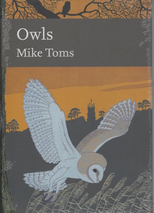 Image for Owls Owls