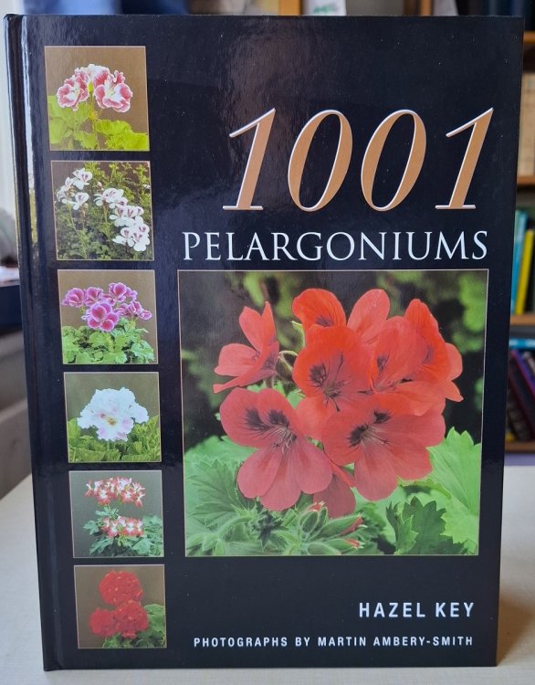 Image for 1001 Pelargoniums 1001 Pelargoniums