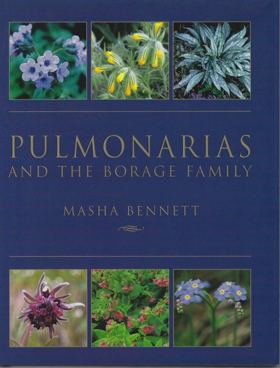 Image for Pulmonarias and the Borage Family Pulmonarias and the Borage Family