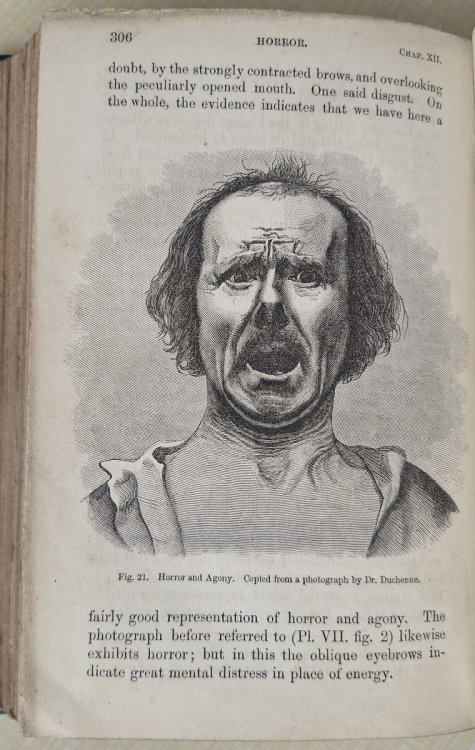Image for The Expression of the Emotions in Man and Animals The Expression of the Emotions in Man and Animals