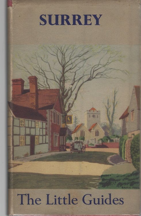 Image for Surrey (The Little Guides series) Surrey (The Little Guides series)
