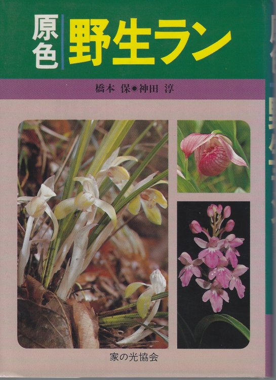 Image for Japanese Indigenous Orchids in Colour Japanese Indigenous Orchids in Colour