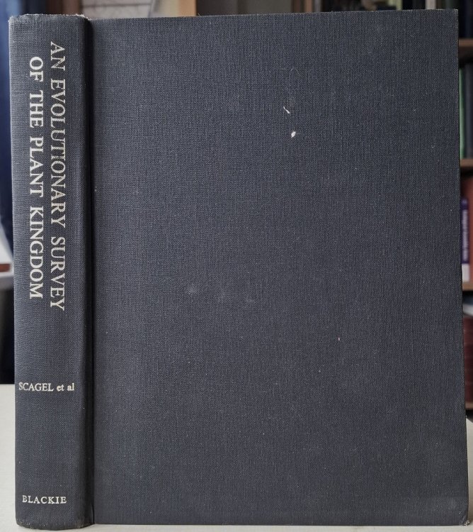 Image for An Evolutionary Survey of the Plant Kingdom An Evolutionary Survey of the Plant Kingdom