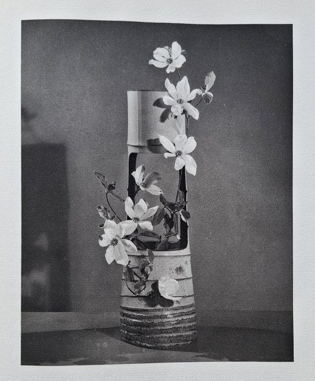 Image for Japanese Flower Arrangement for Modern Homes Japanese Flower Arrangement for Modern Homes