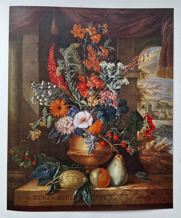 Image for The Twelve Months of Flowers by Jacob van Huysum in the collection of Major the Hon. Henry Rogers Broughton, of Bakeham House, Englefield Green and South Walsham Hall, Norwich The Twelve Months of Flowers by Jacob van Huysum in the collection of Major the Hon. Henry Rogers Broughton, of Bakeham House, Englefield Green and South Walsham Hall, Norwich