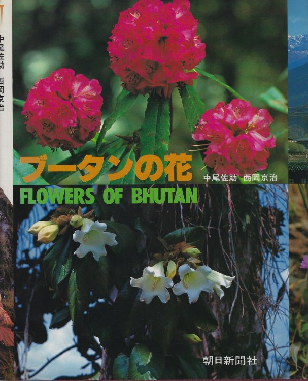 Image for Flowers of Bhutan Flowers of Bhutan