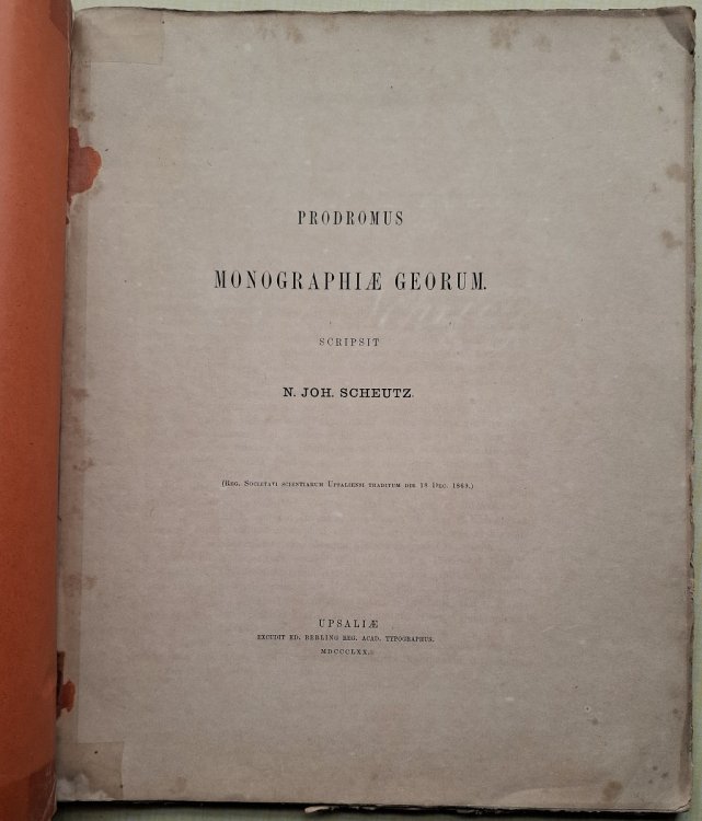 Image for Prodromus Monographiae Georum [Monograph of Geum) Prodromus Monographiae Georum [Monograph of Geum)