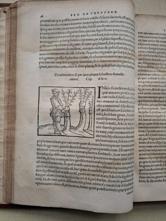 Image for De Omnibus Agriculturae de partibus, and de plantarum animaliumque natura and utilitate lib.XII.non minus Philosophiar & medicinae. quam oeconomiae, agricolationis, paftionumqe studiofistutiles. De Omnibus Agriculturae de partibus, and de plantarum animaliumque natura and utilitate lib.XII.non minus Philosophiar & medicinae. quam oeconomiae, agricolationis, paftionumqe studiofistutiles.
