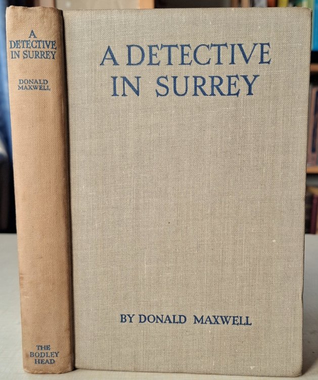 Image for A Detective in Surrey - landscape clues to invisible roads A Detective in Surrey - landscape clues to invisible roads