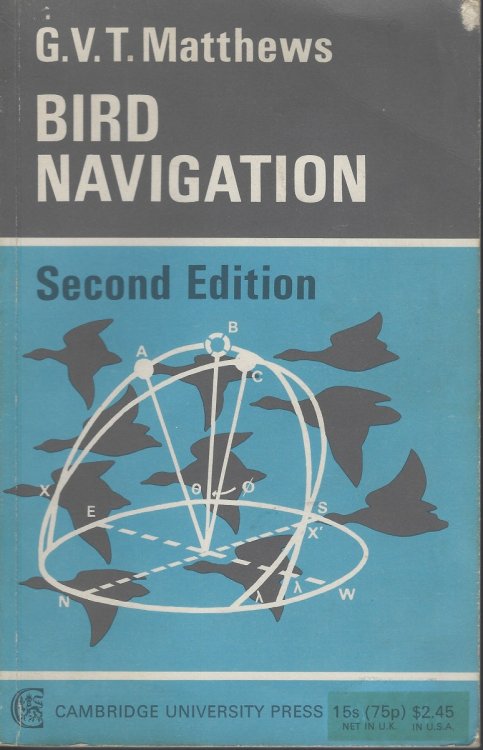 Image for Bird Navigation (Second edition) Bird Navigation (Second edition)