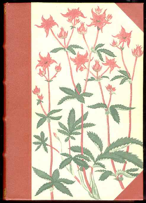 Image for DANMARKS VILDE PLANTER: Med et Udvalg af Vore Nordiske Nabolandes Flora (Complete in two volumes) DANMARKS VILDE PLANTER: Med et Udvalg af Vore Nordiske Nabolandes Flora (Complete in two volumes)