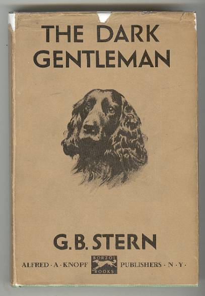 Image for The Dark Gentleman The Dark Gentleman