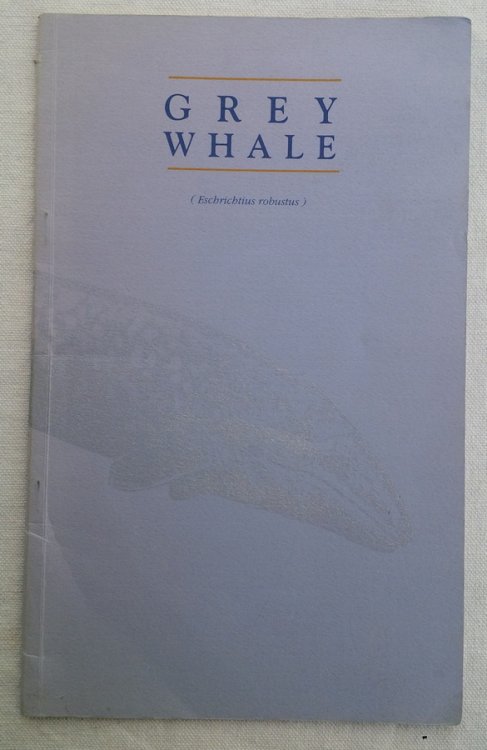 Image for GREY WHALE (Eschrichtius robustus) GREY WHALE (Eschrichtius robustus)