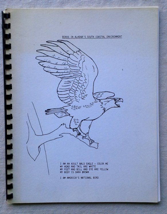 Image for BIRDS IN ALASKA'S SOUTH COASTAL ENVIRONMENT: A Workbook and Field Guide BIRDS IN ALASKA'S SOUTH COASTAL ENVIRONMENT: A Workbook and Field Guide