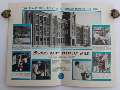MILK MAGIC: Borden's Dairy Delivery Book of 22 tempting desserts
