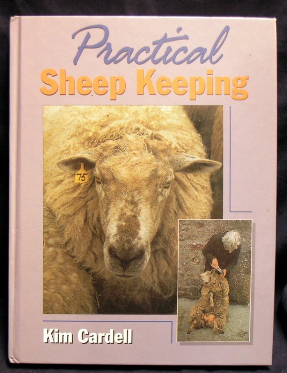 Practical Sheep Keeping